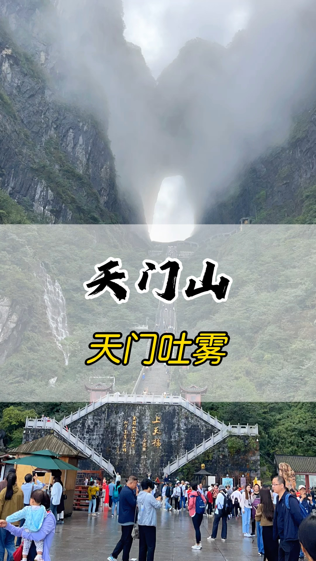 最新资讯 第30页