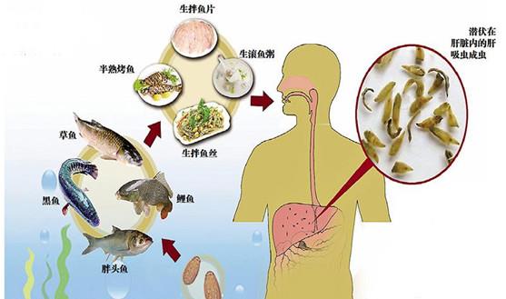 游戏专题